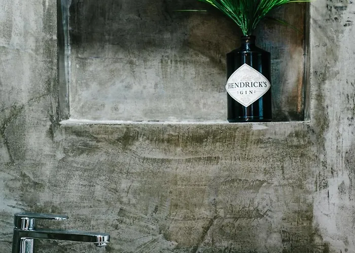 Zelitré * Figueira da Foz